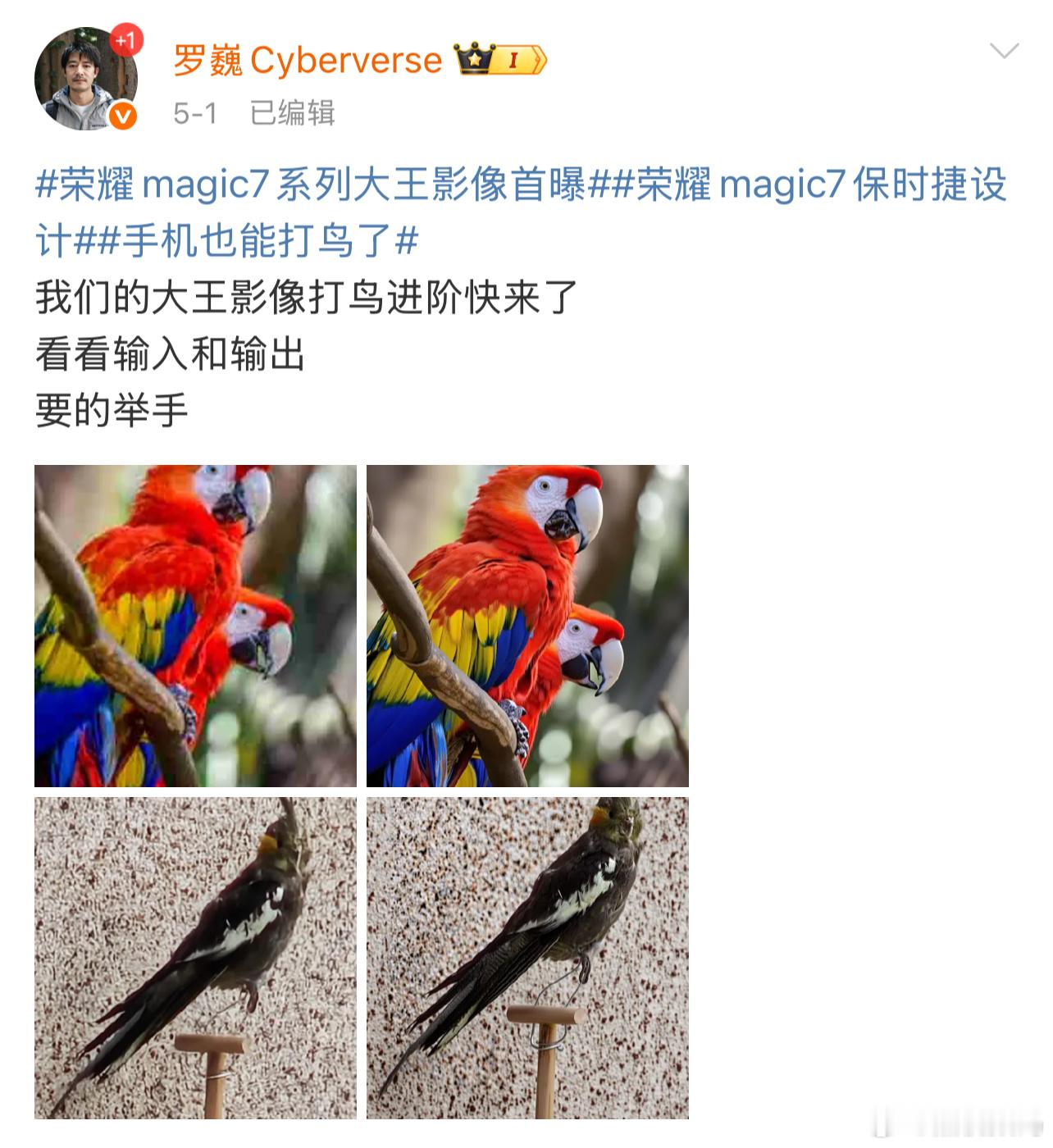 估计以后打鸟都不用那些长枪短炮，有个手机就行！最近这两年长焦发展的确实很猛，甚至
