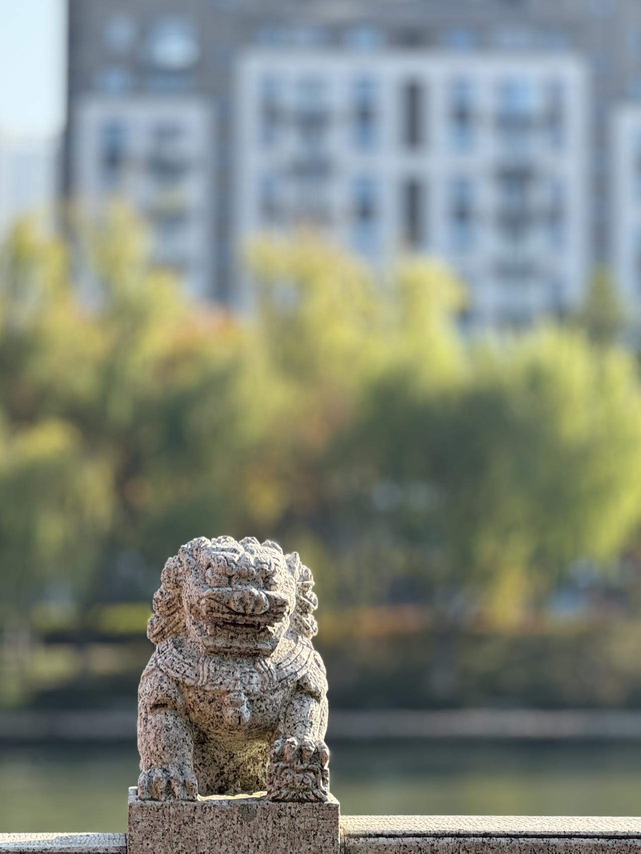 古城古建随手拍守护古城的狮子