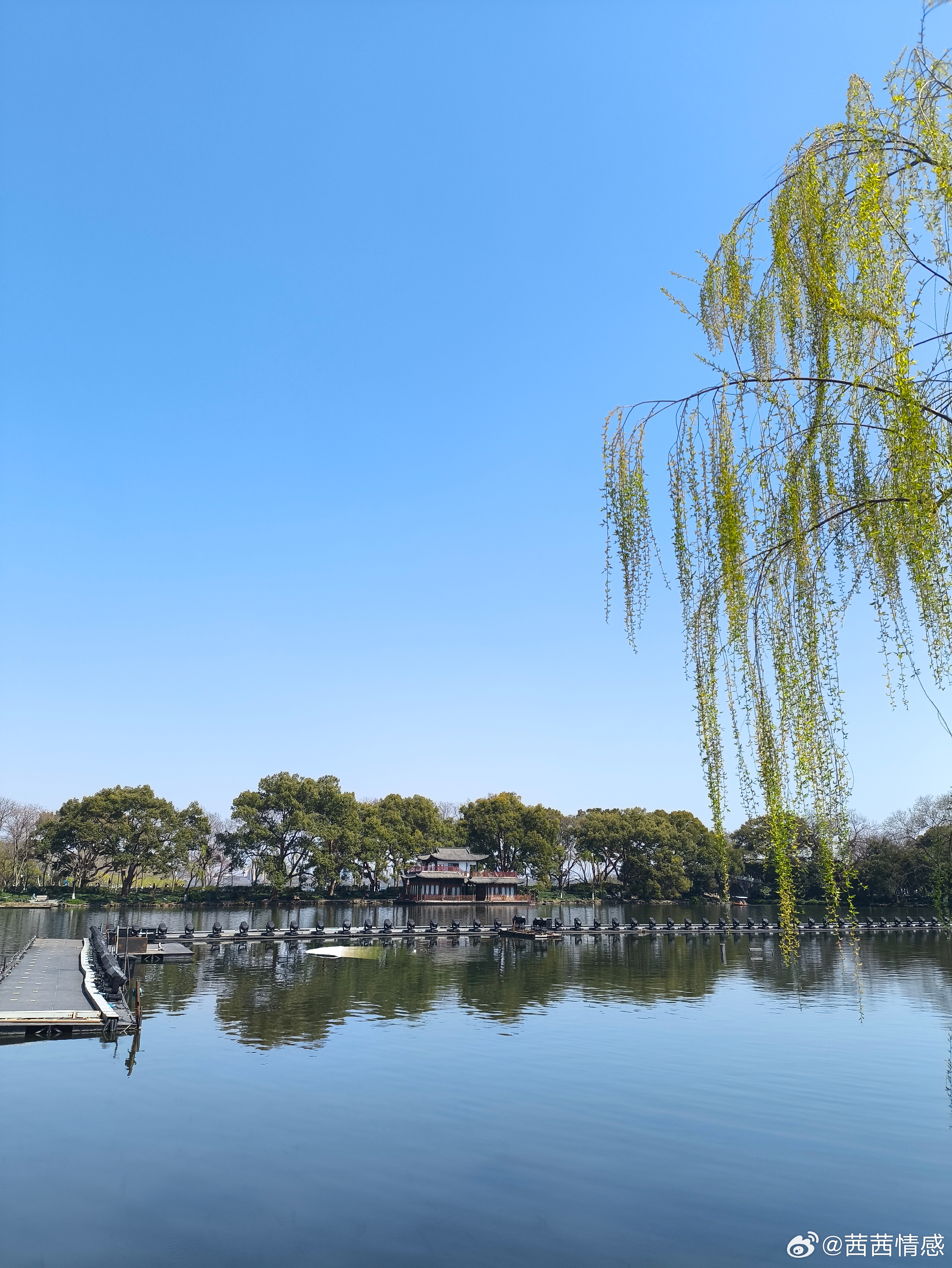 你会按部就班的工作与生活吗情感在人生的舞台上，每个人都是自己剧本的主角，选择何种