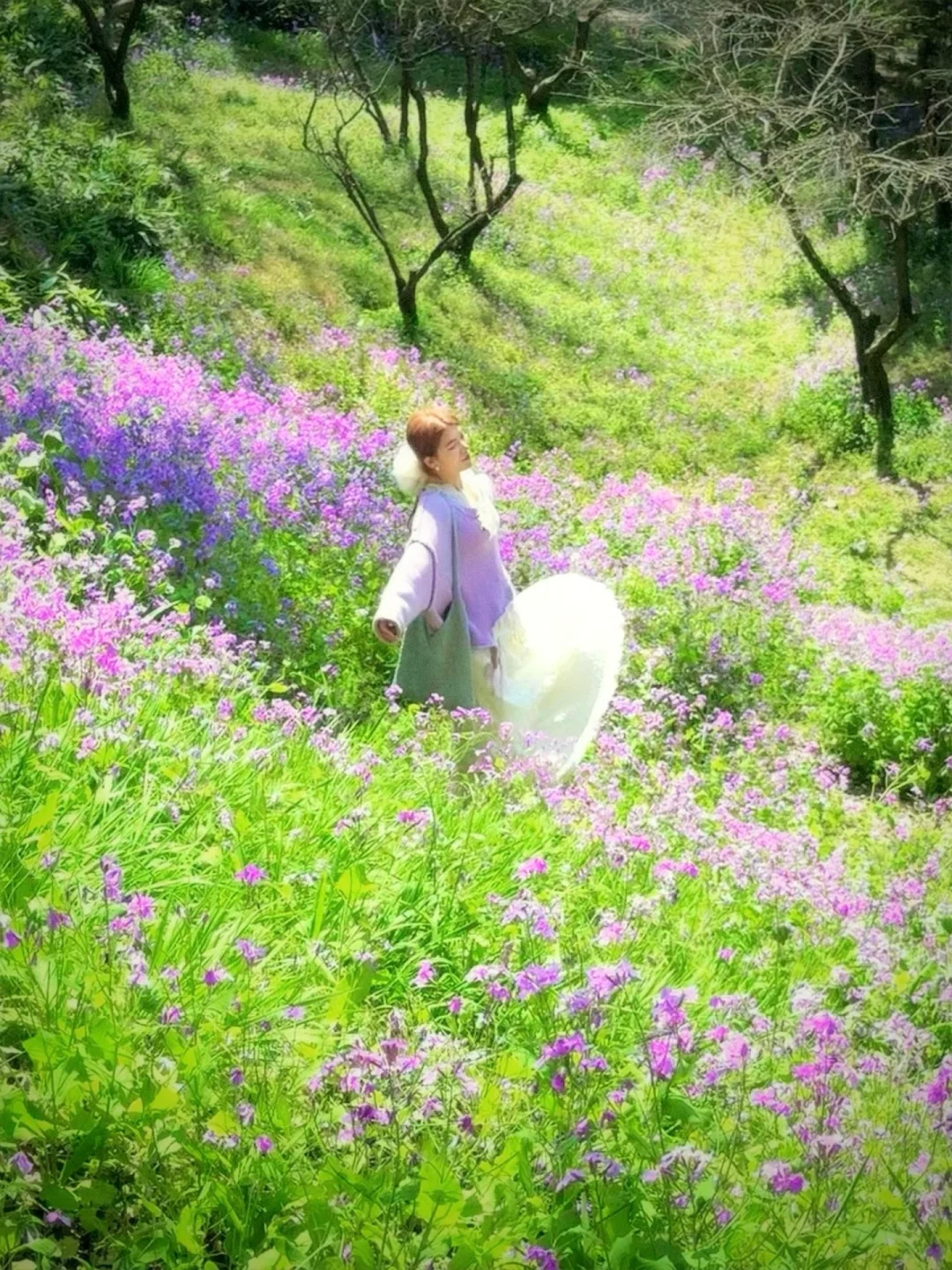 live实拍💜在苏州仿佛走进了莫奈的油画世界