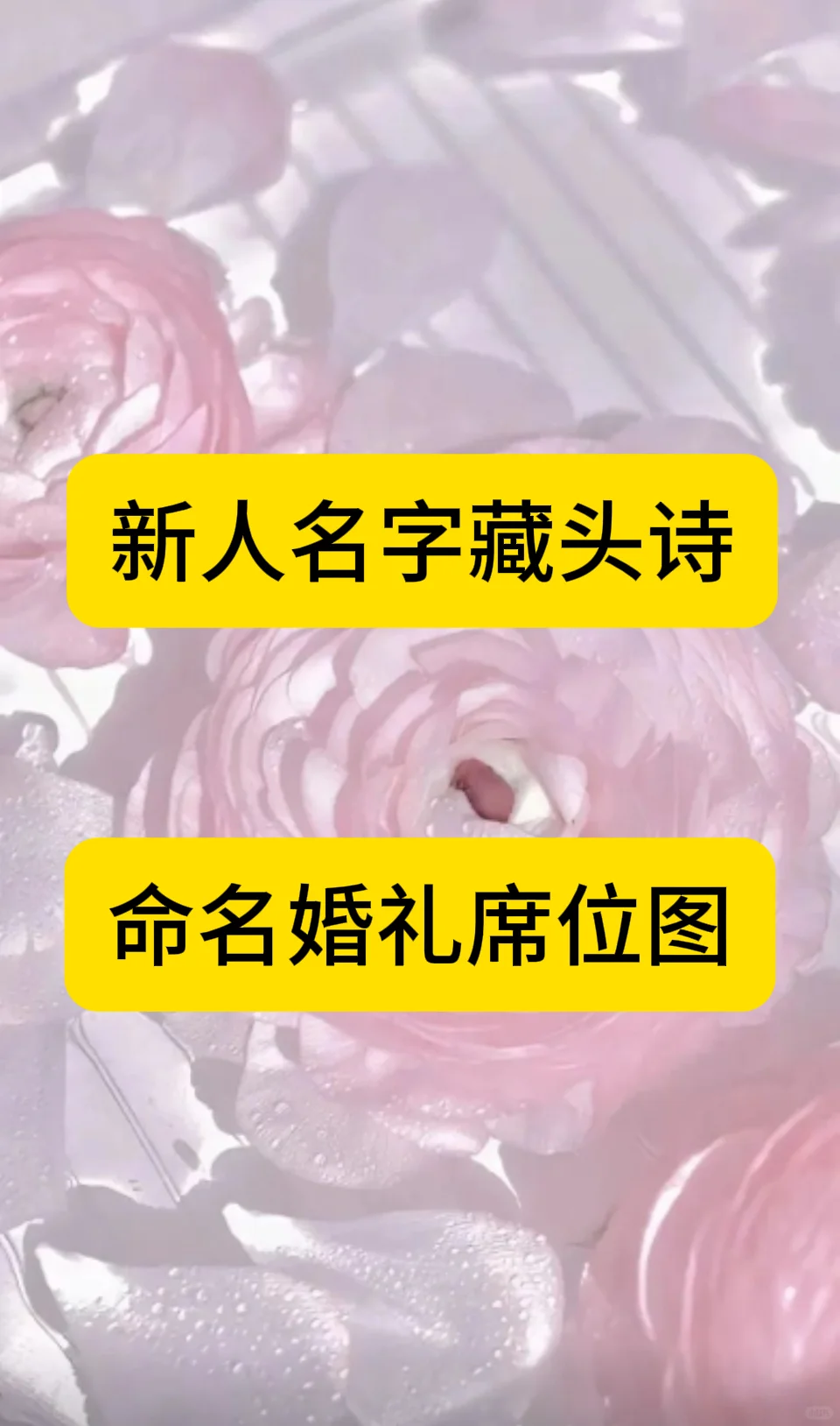 结婚不是目的，幸福才是（5）