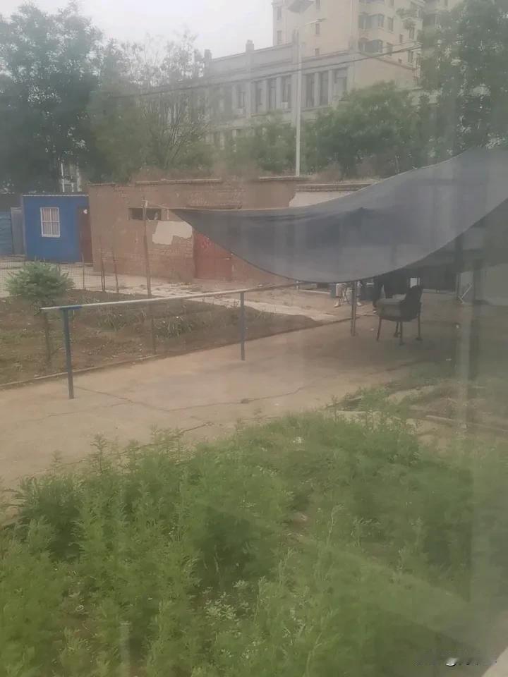 今天下雨了，窗前一看竟然看到了这个，从来没有谁在小区里搭建黑色塑料棚子，是夜里搭
