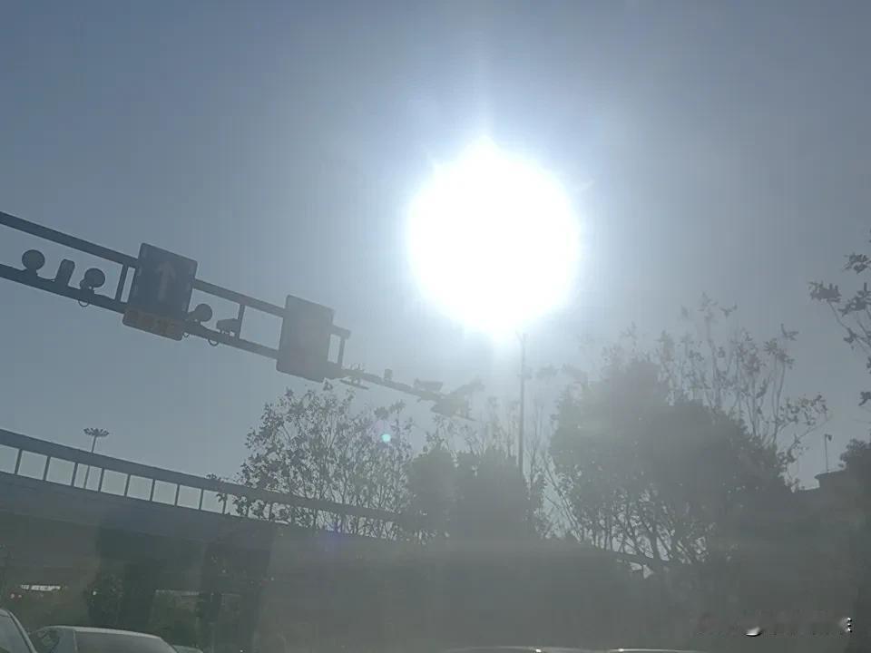 晒图笔记大赛 春日骑行超有氛围感！伊人单车追光，穿梭在绿壤间，花草、晨露、村庄、