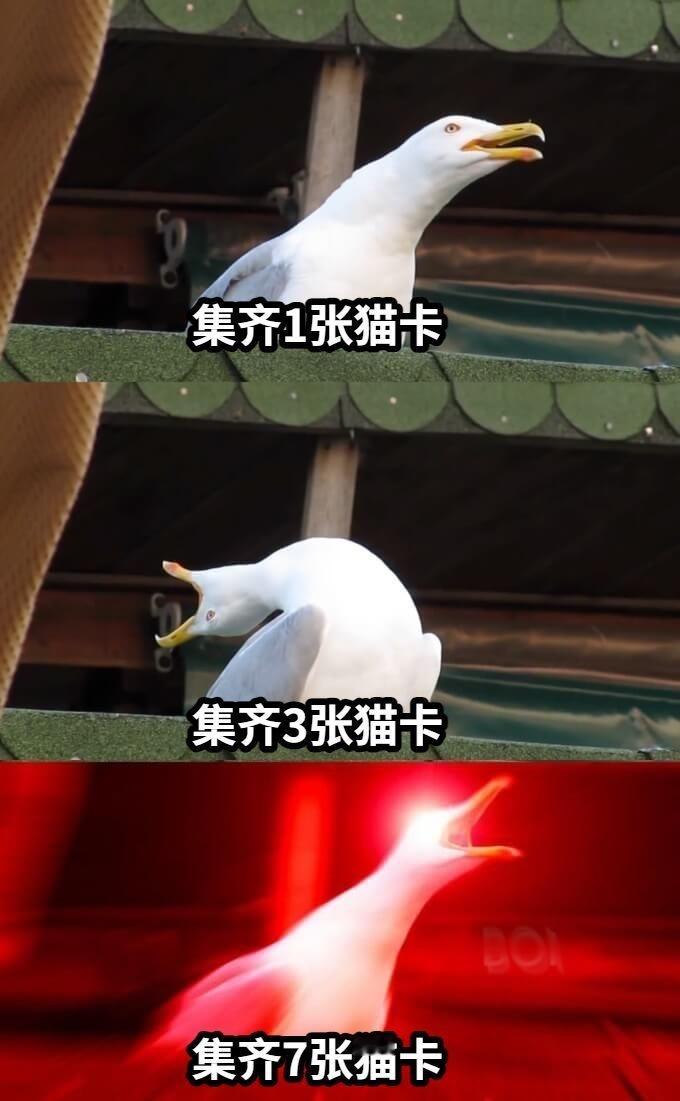 奥运冠军都在玩的#抓猫猫运动会#，不仅能得到各种各样的体育猫猫卡片，还有机会获得
