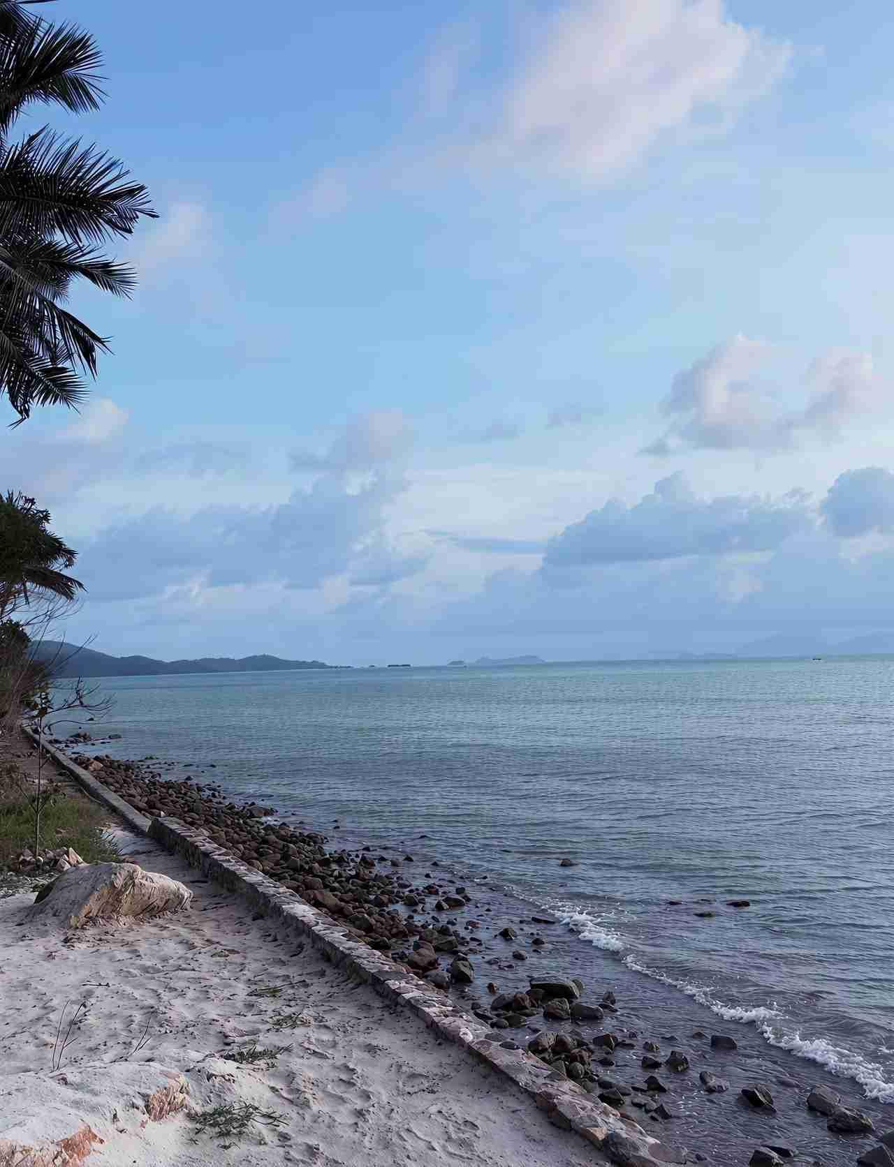 我的今日状态：💰期待暴富
我这里的天气：🍂微风