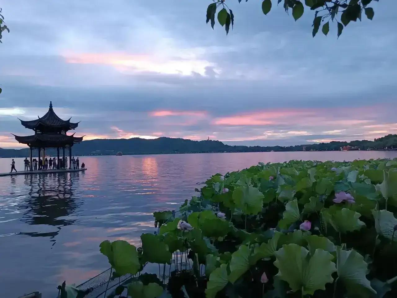 夏日的西湖也美的不可方物，湖中一群鸳鸯和野鸭子在慢慢悠悠的游动着，仿佛也在享受这