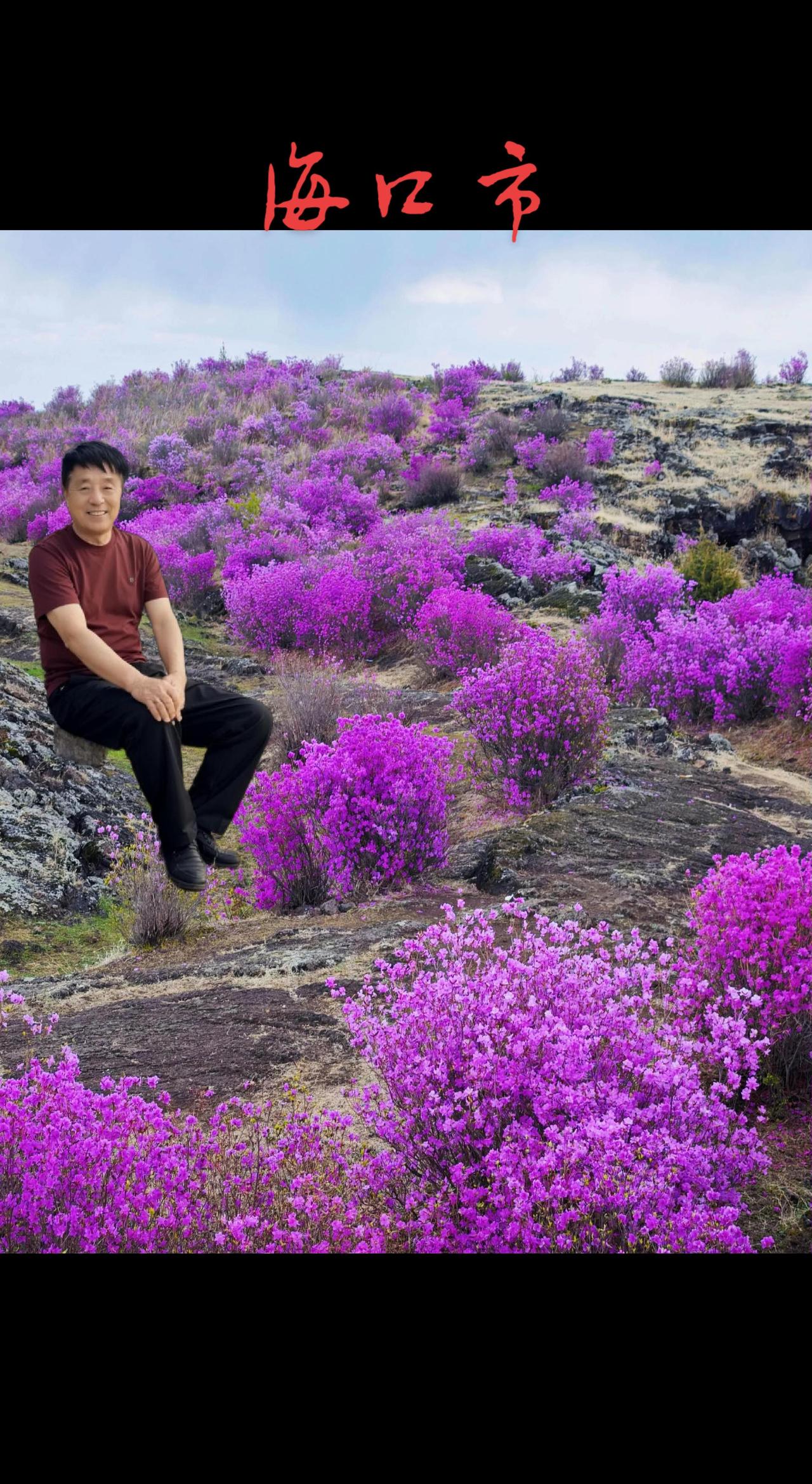 ，踏春赏花最美的景点推荐 。一一