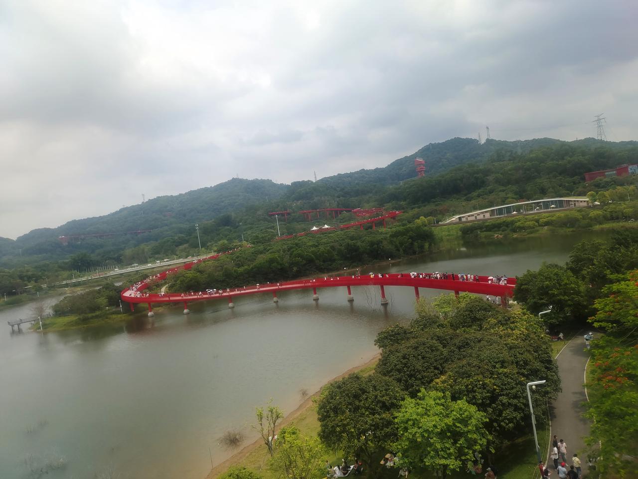 打卡网红玻璃桥，感受高空漫步的刺激！🔴🌳🏞️