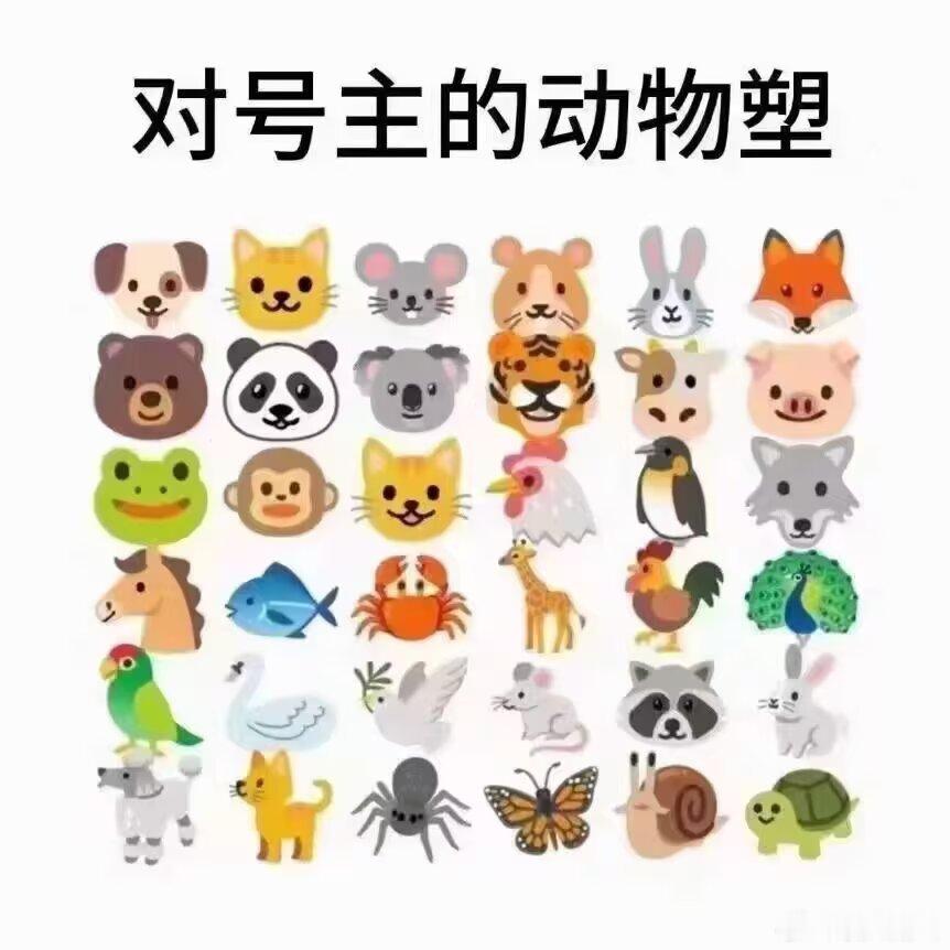 这里也要玩🎮 