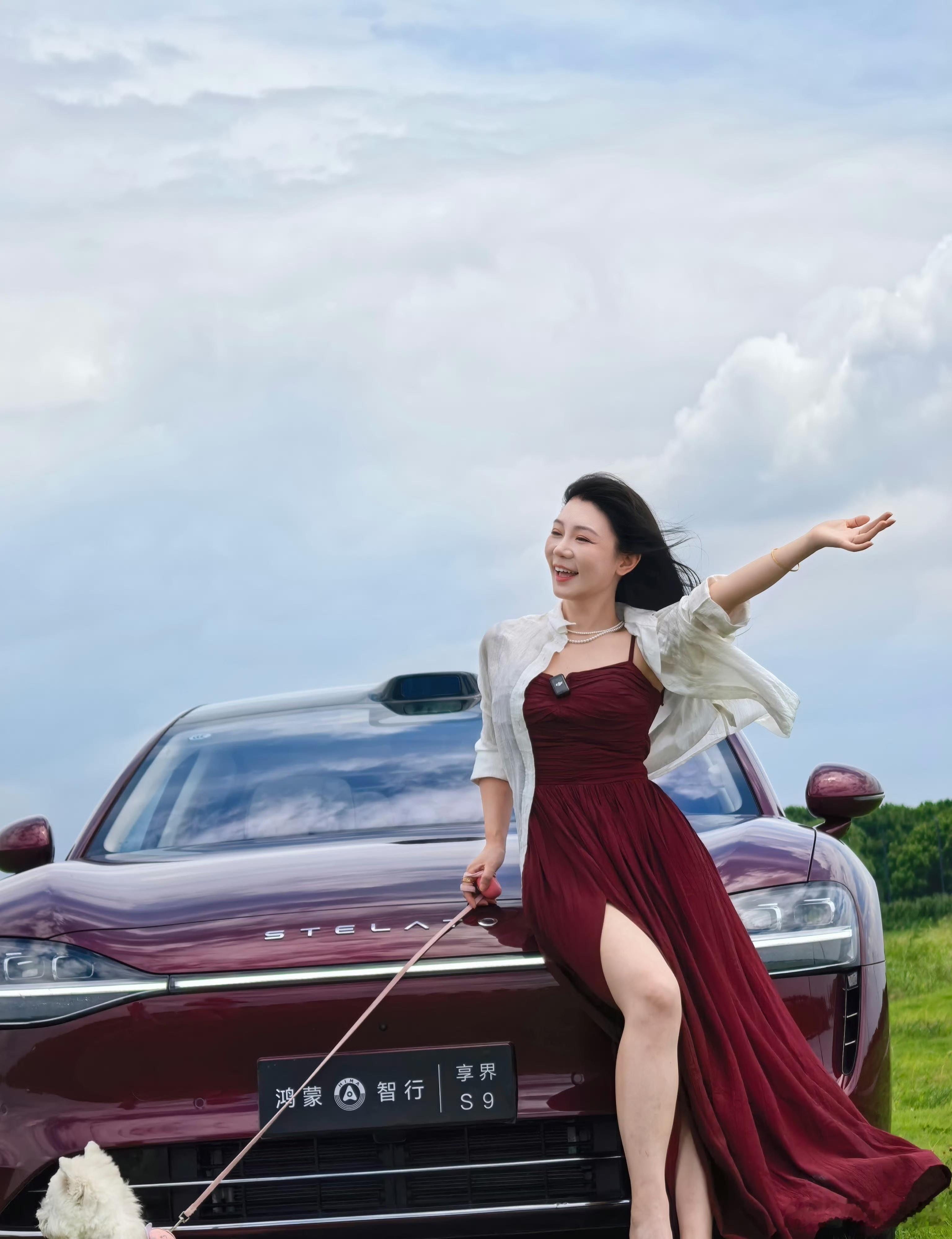 享界让豪华轿车市场四分天下 现在国产车真的越来越牛了，尤其是享界这波“旗舰9系”