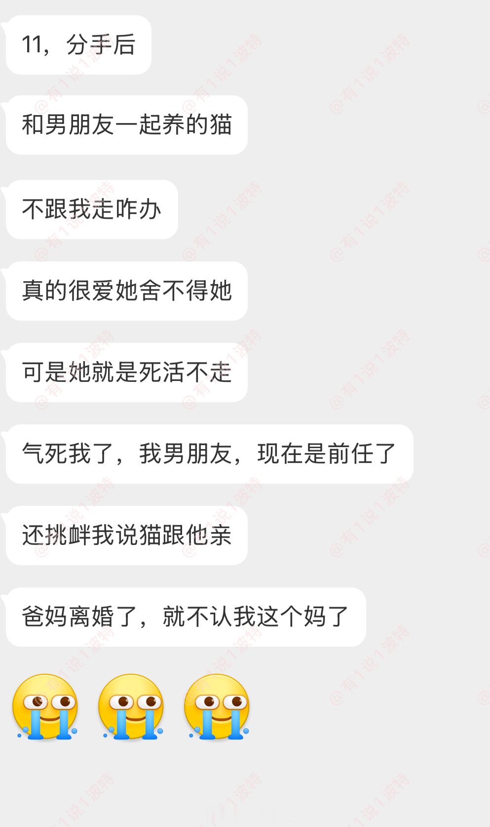 情感树洞 跟男朋友分手，猫不跟我？？？ 