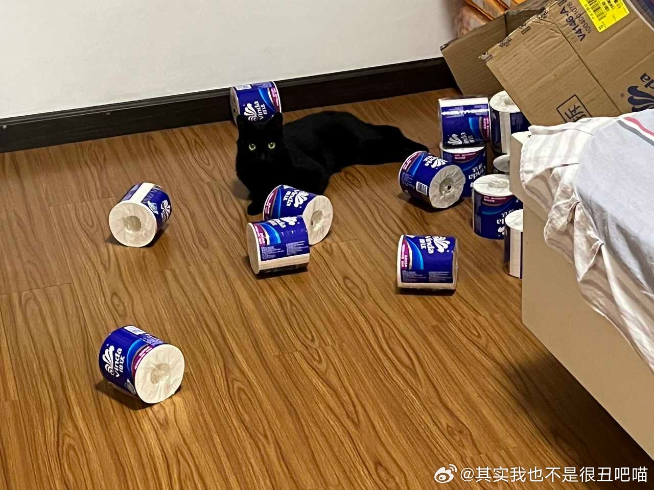 49932【心灵丑】嫌疑人在距离犯罪现场0.02毫米的地方泰然自若意欲挑衅 