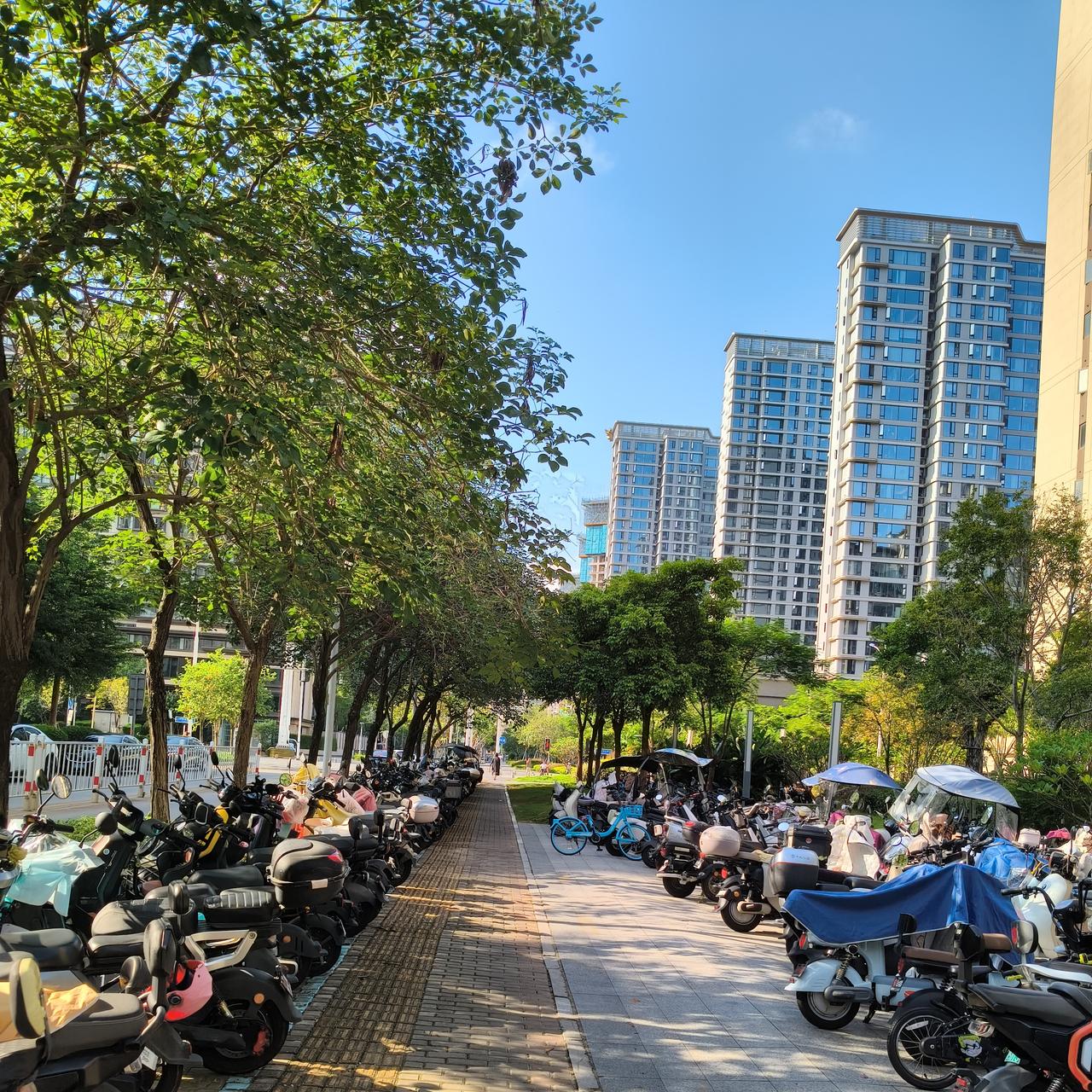 坐公交车，我下意识抬头扫了一圈车厢里安静得只剩引擎声，除了手握方向盘的司机，所有