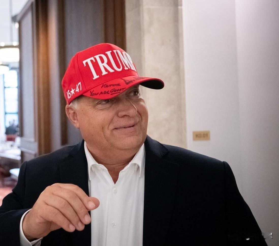 特朗普盛赞欧尔班：称其为强力领袖，全力支持其胜选
 
美国总统唐纳德·特朗普公开