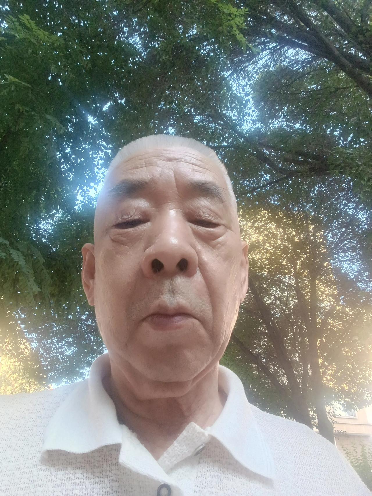 逻辑学是哲学的必要的条件吗?没有逻辑学的偷梁换柱，哲学就无法作恶到今天，举一个例