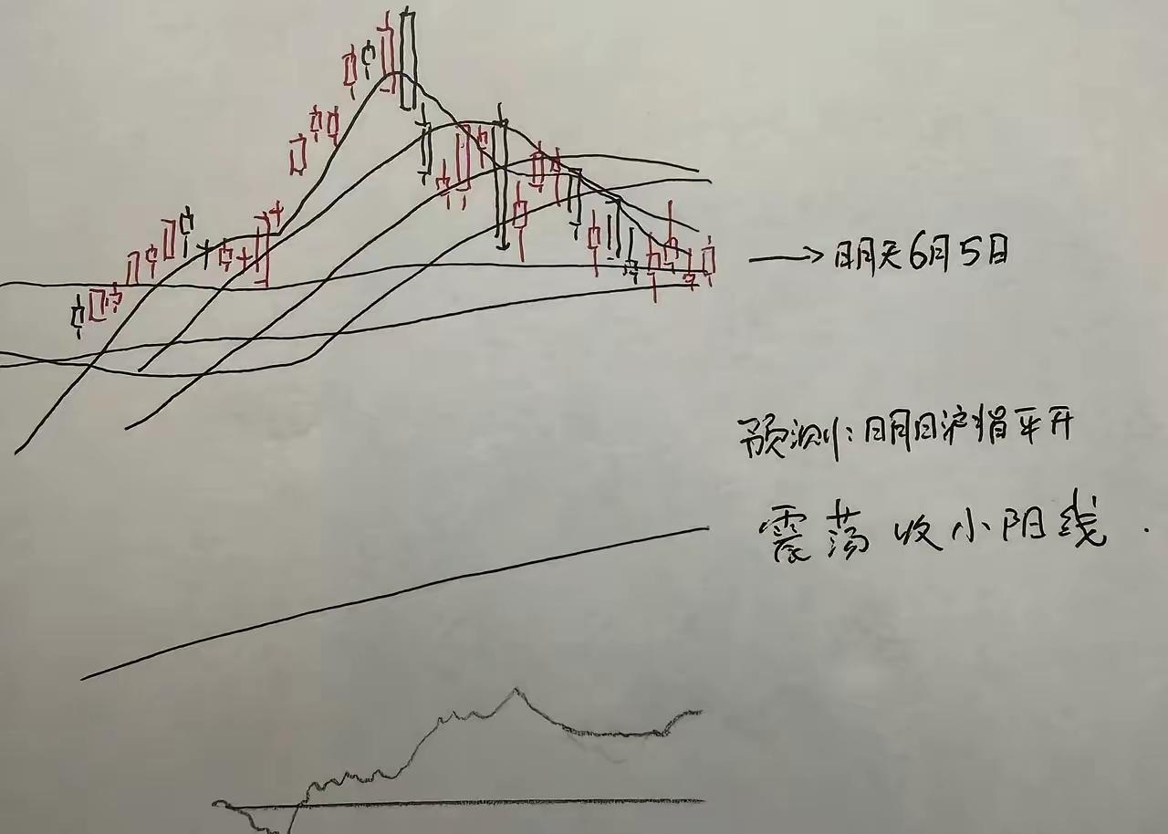 今天是6月5日，开市在即，股评师们看涨跌不一，看看几位今天的走势行情预测：
🔥