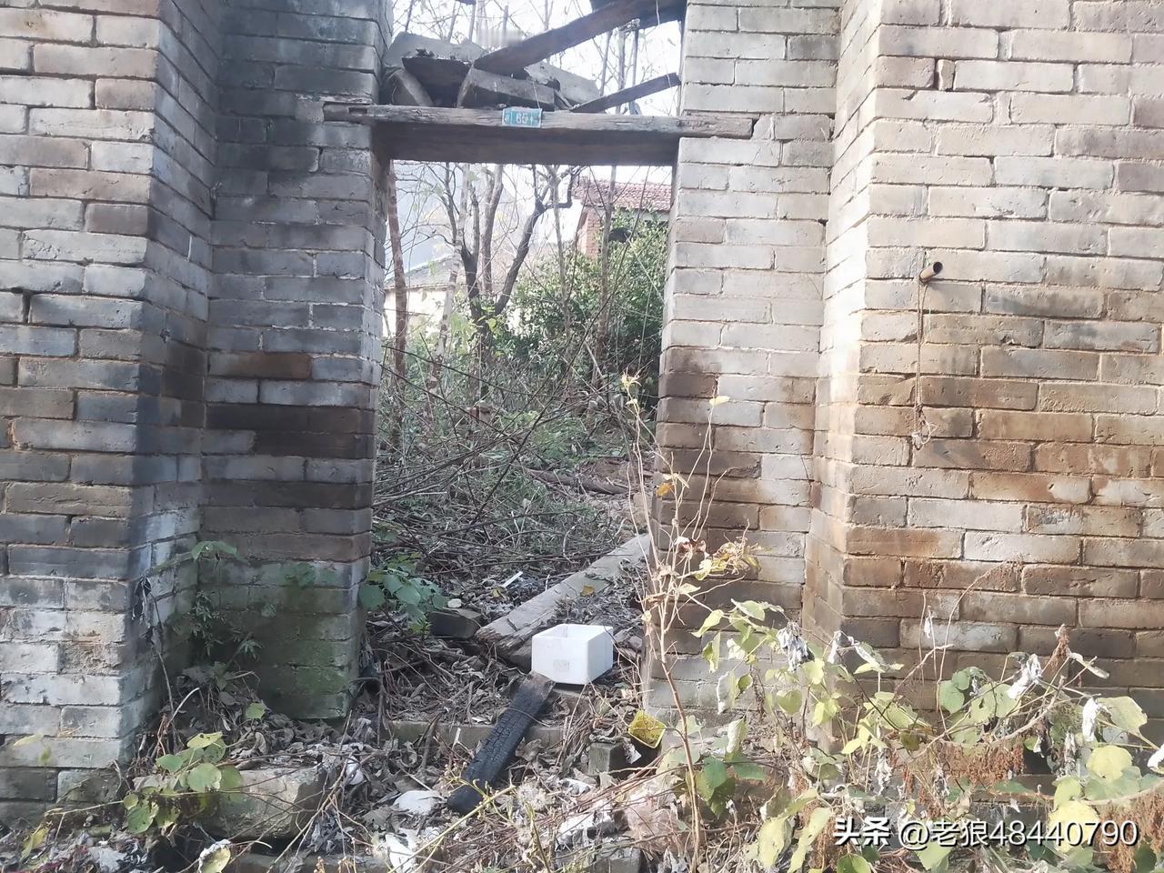 这是我少年到青年时期成长的家乡，过去的红砖丶青砖瓦房是村里最好的房子，他们是第一