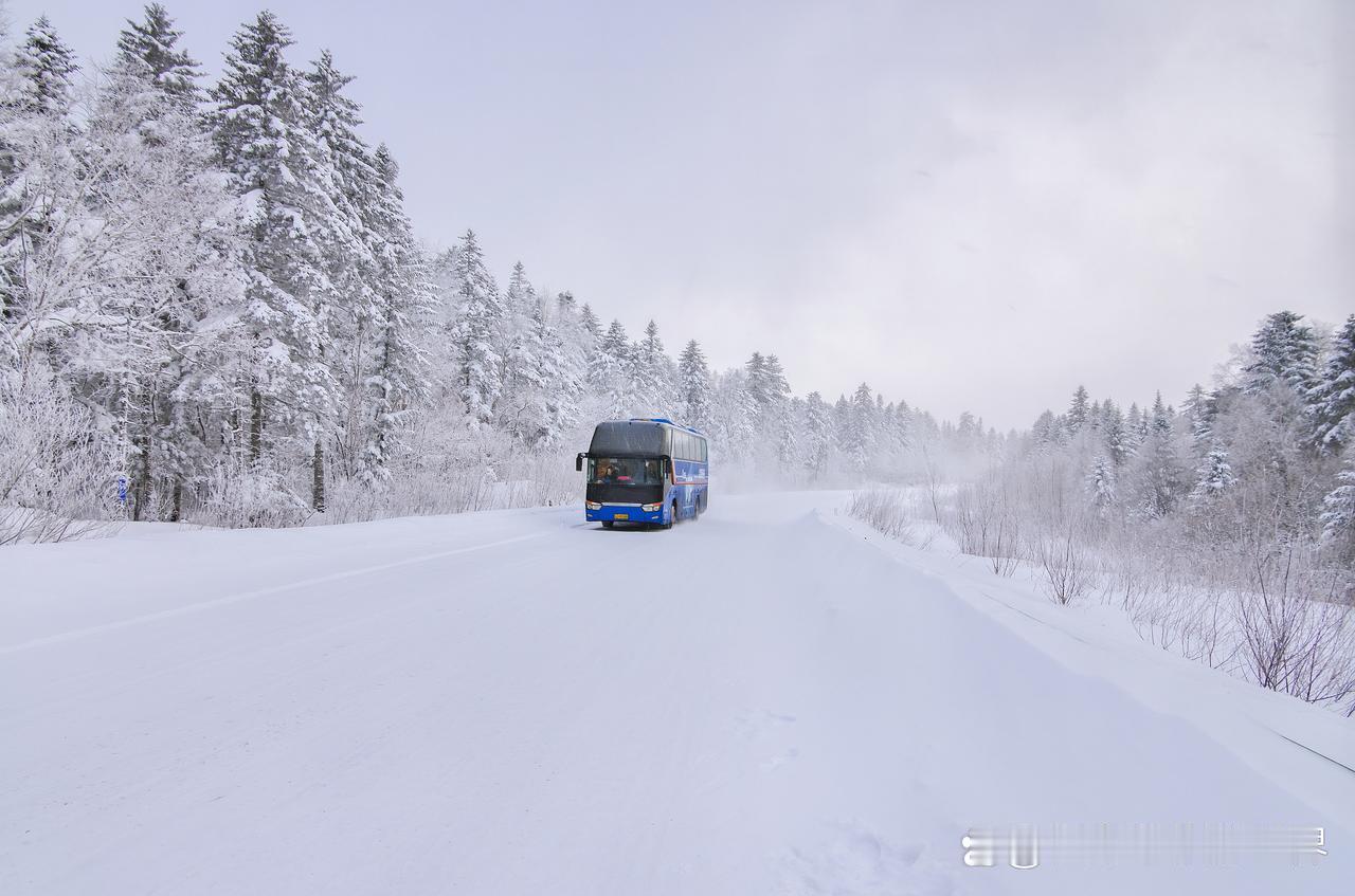 车轮碾过薄霜的清晨，小雪节气给中国公路蒙上滤镜。318国道怒江段像被仙人扯碎的哈