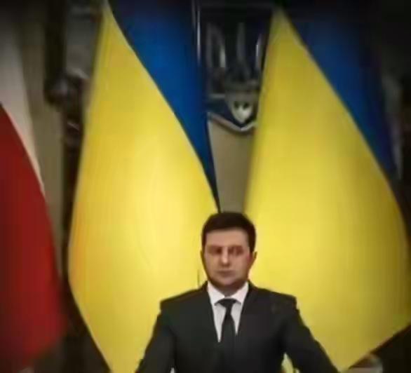 普京和泽连斯基因为选举的事情又杠上了。普京的意思:“乌选举日停火是可以的， 前提