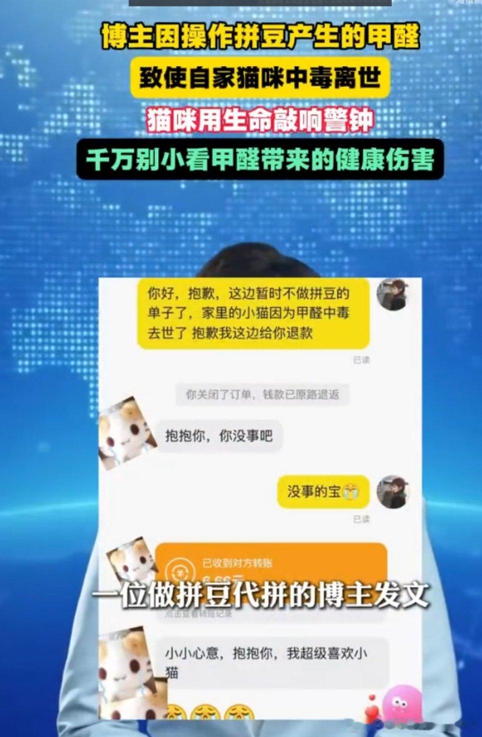 博主热熔拼豆致小猫甲醛中毒离世看到山东那位拼豆博主说小猫因甲醛中毒离世，毛孩子的
