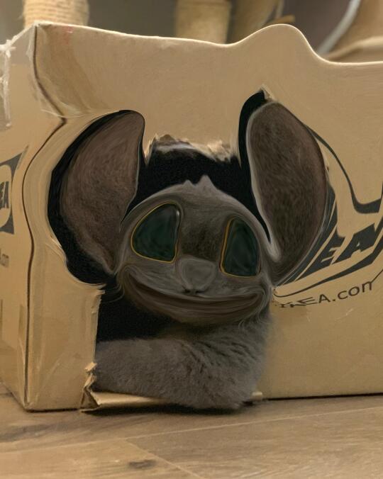 我的实验品了……
