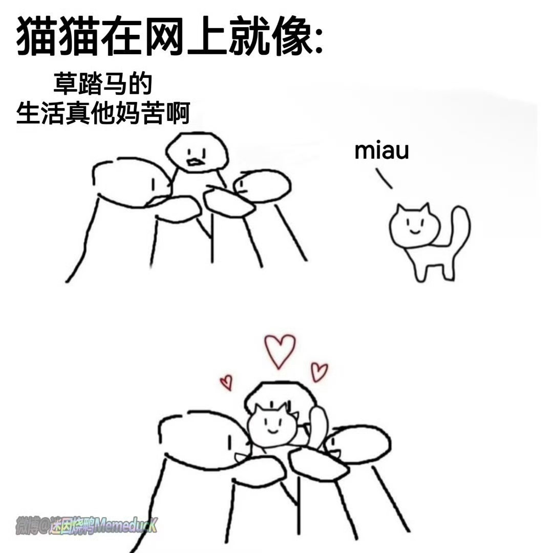 嘿嘿毛毛🥰 