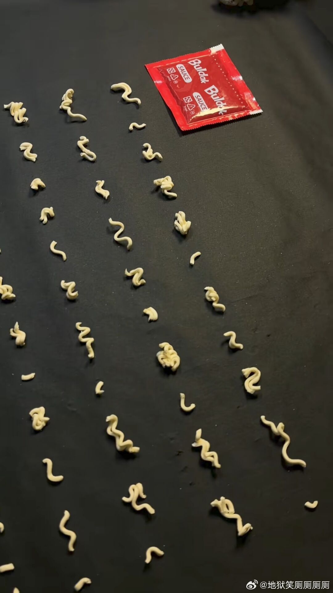 1262如何创作一篇《康师赋》 