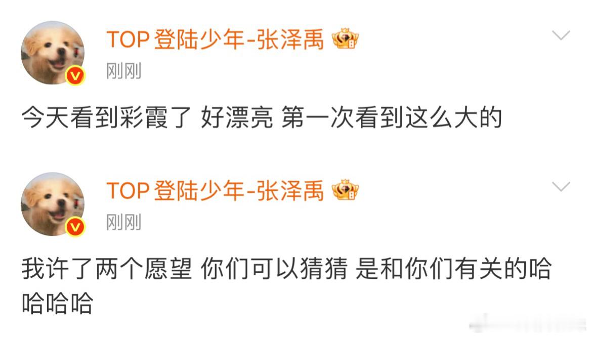 看到彩霞许的两个愿望是和小禹宙有关的