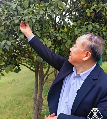 莫言让人背后发凉的话：

“钱再多，也抵挡不了死亡；
长得再漂亮，也讨好不了阎王