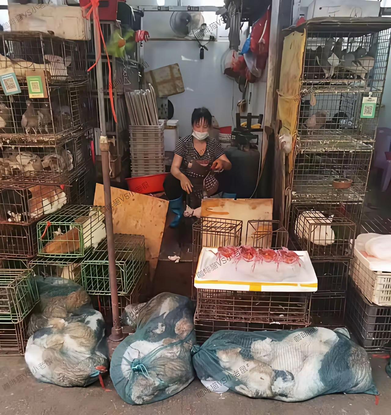 善有善报，恶有恶报，愿所有众生勿造杀业，愿所有生灵能被人们善待[祈祷][祈祷][