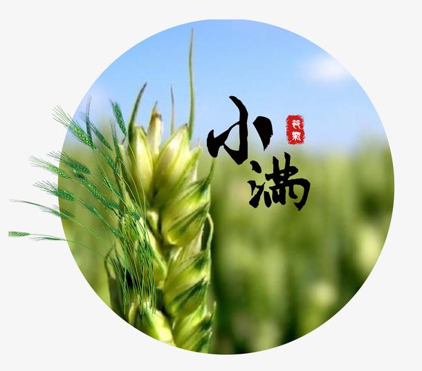 今日小满，人生最好的状态，莫过于半满
 
今日小满，夏季第二个节气悄然而至。世间
