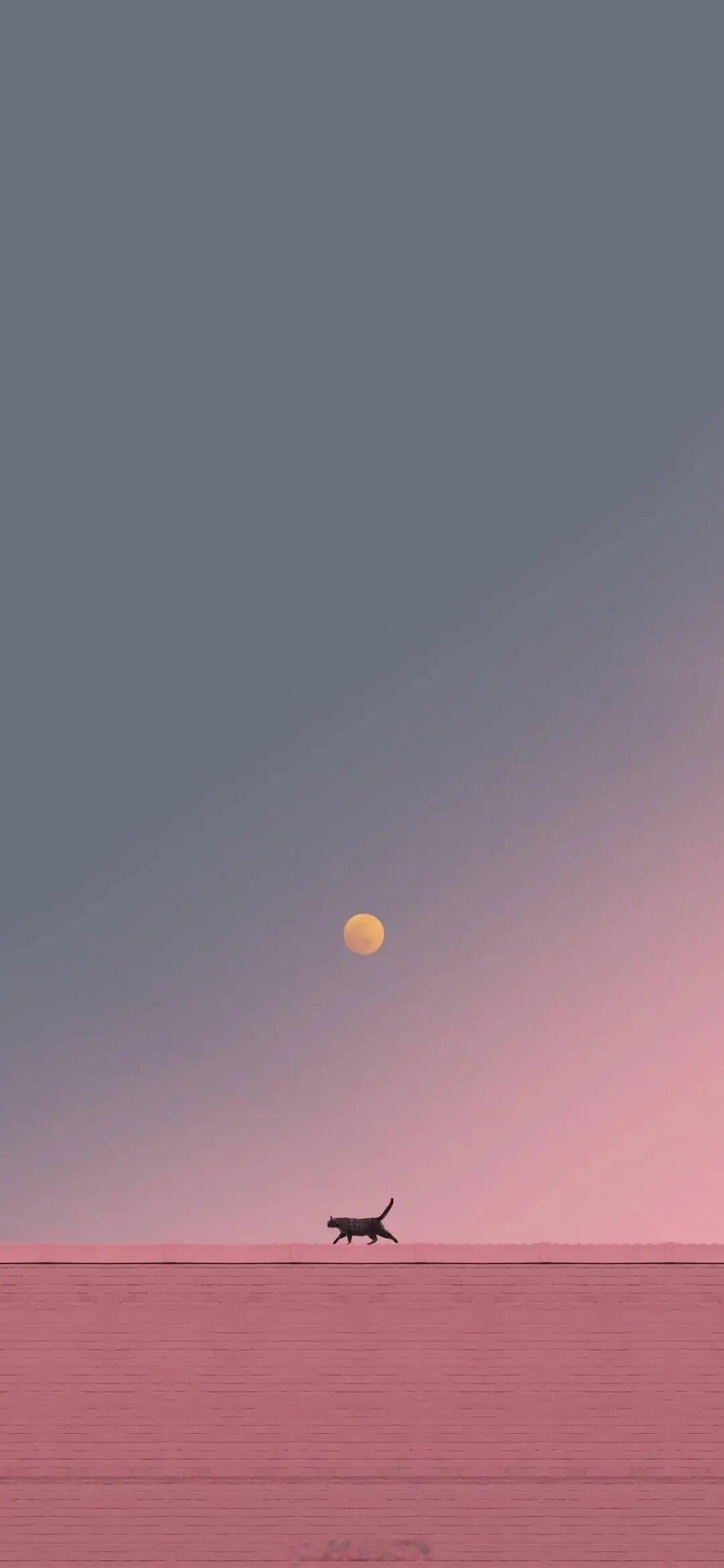 原来这就是喜欢啊，喜欢是如此隐秘，不大方，如此的心里有鬼。——七宝酥《当我上门遛