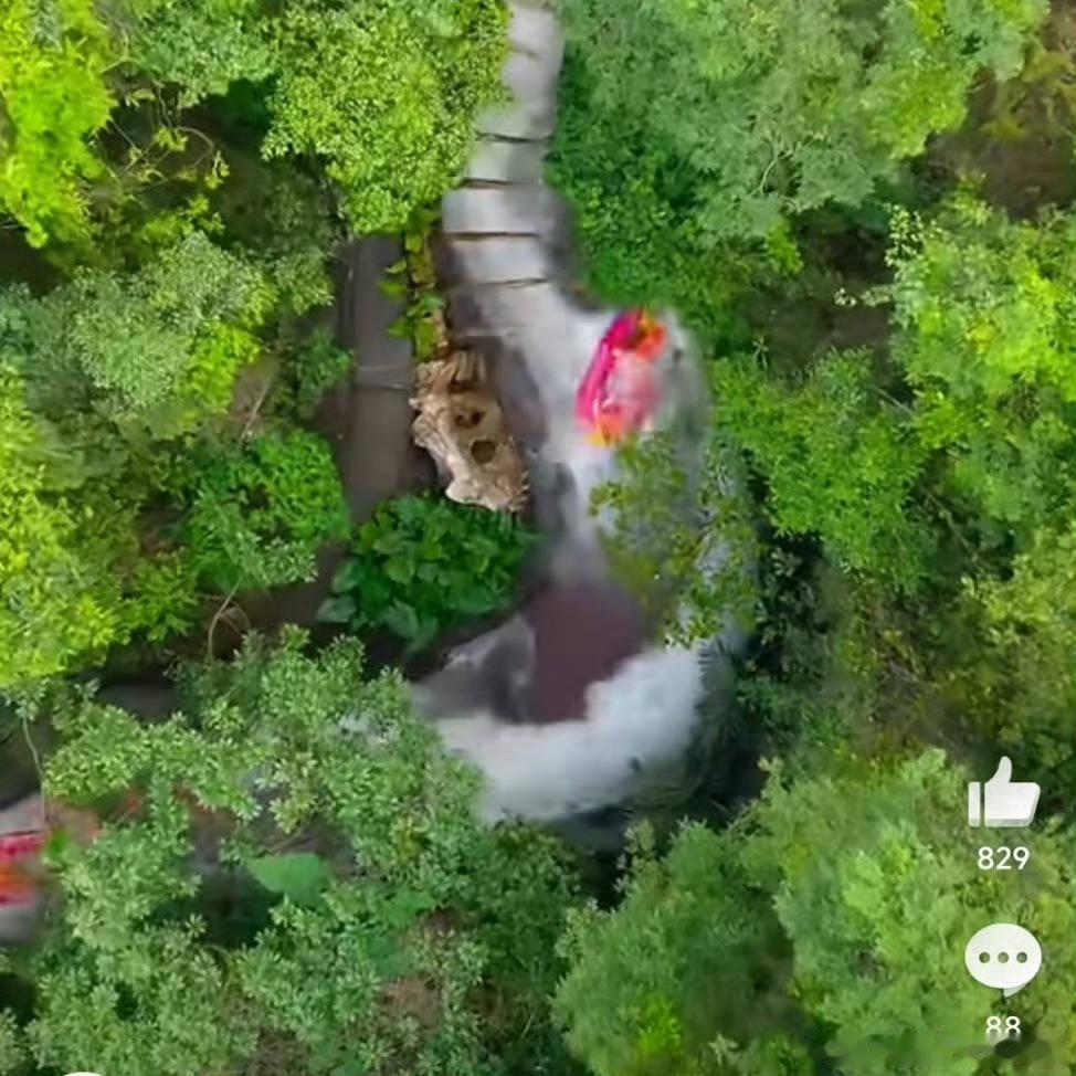 广东大暑热到想住进水里很多人不知道广东大暑的正确打开方式，其实就是去古龙峡漂流，