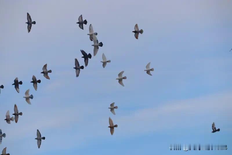 解放军出动轰炸机编队巡航释放何信号 解放军出动轰炸机编队巡航南海，这信号再明显不