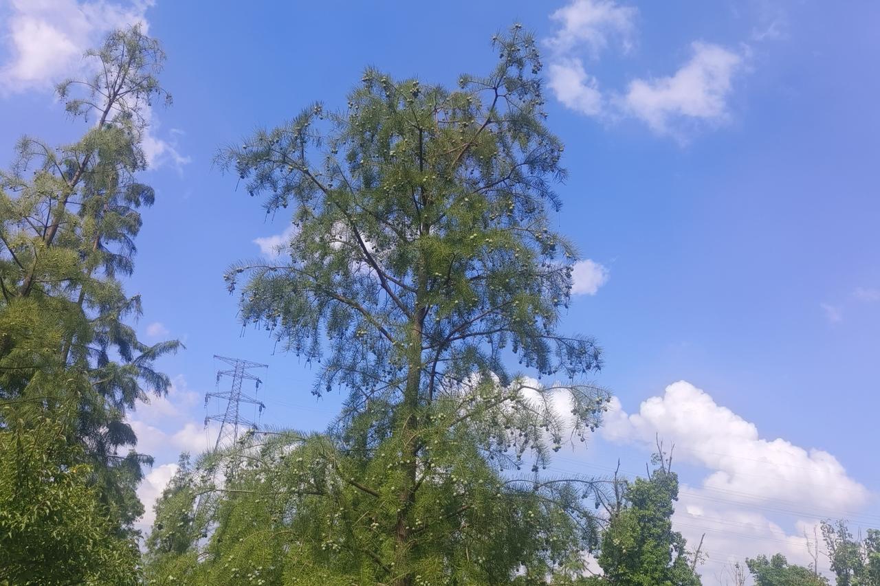 真正高明的退场，是突然不再解释了。
对方发很多的消息也不再回复，也不再解释，更不