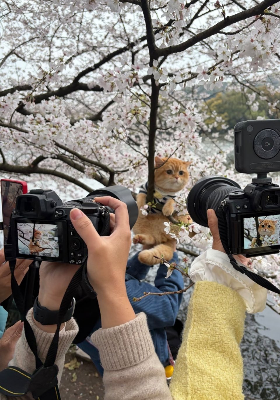 “麻，我害怕！” 