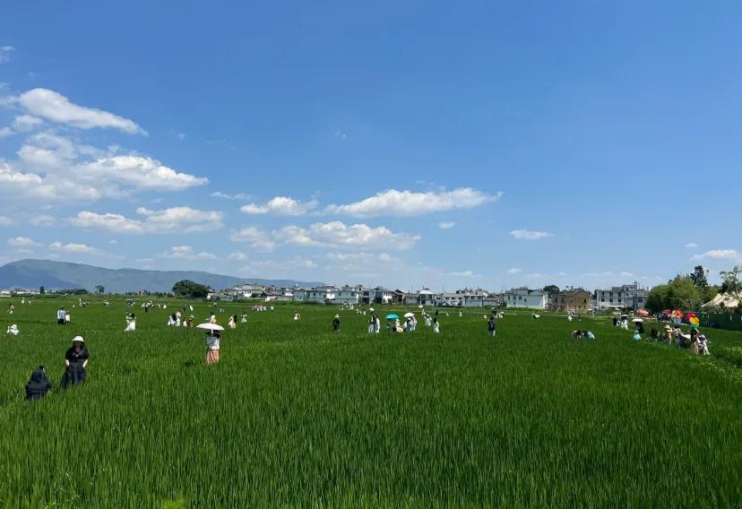 天呐!!去大理必须记得带的东西!!
必须要带的东西:
首先，必须要带的除了防晒的