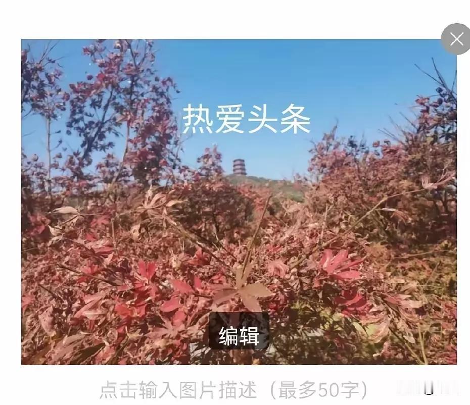 热爱头条每日来
闲情逸致表心怀
弘扬时代主旋律
老有所为美好栽每日诗行分享 分享
