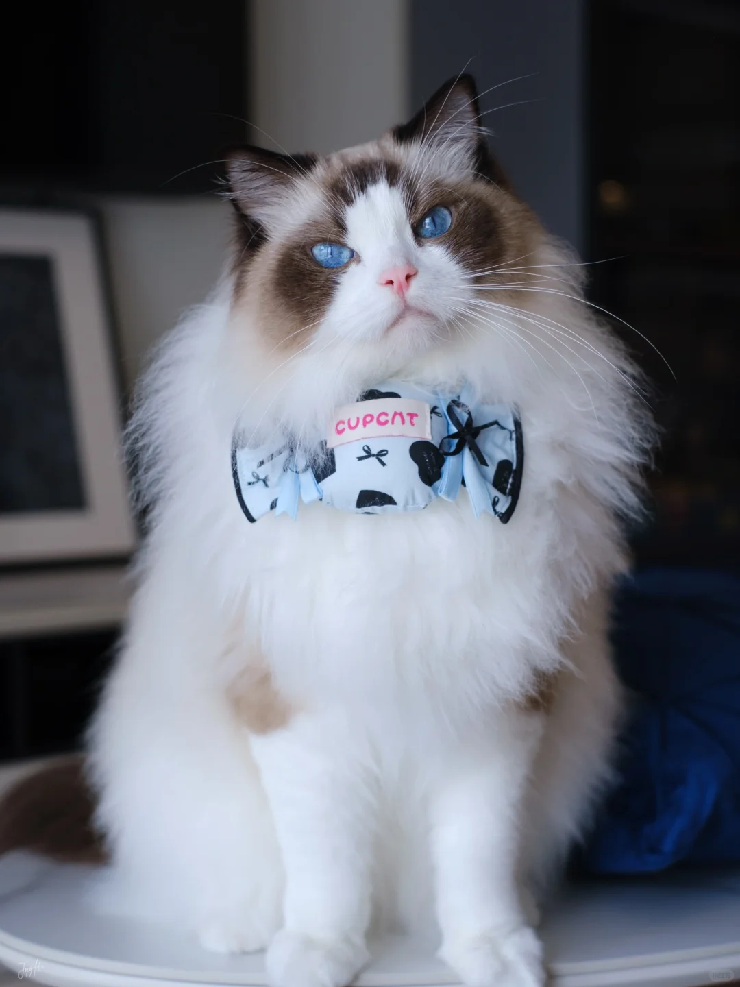 宝宝你好甜啊🍬