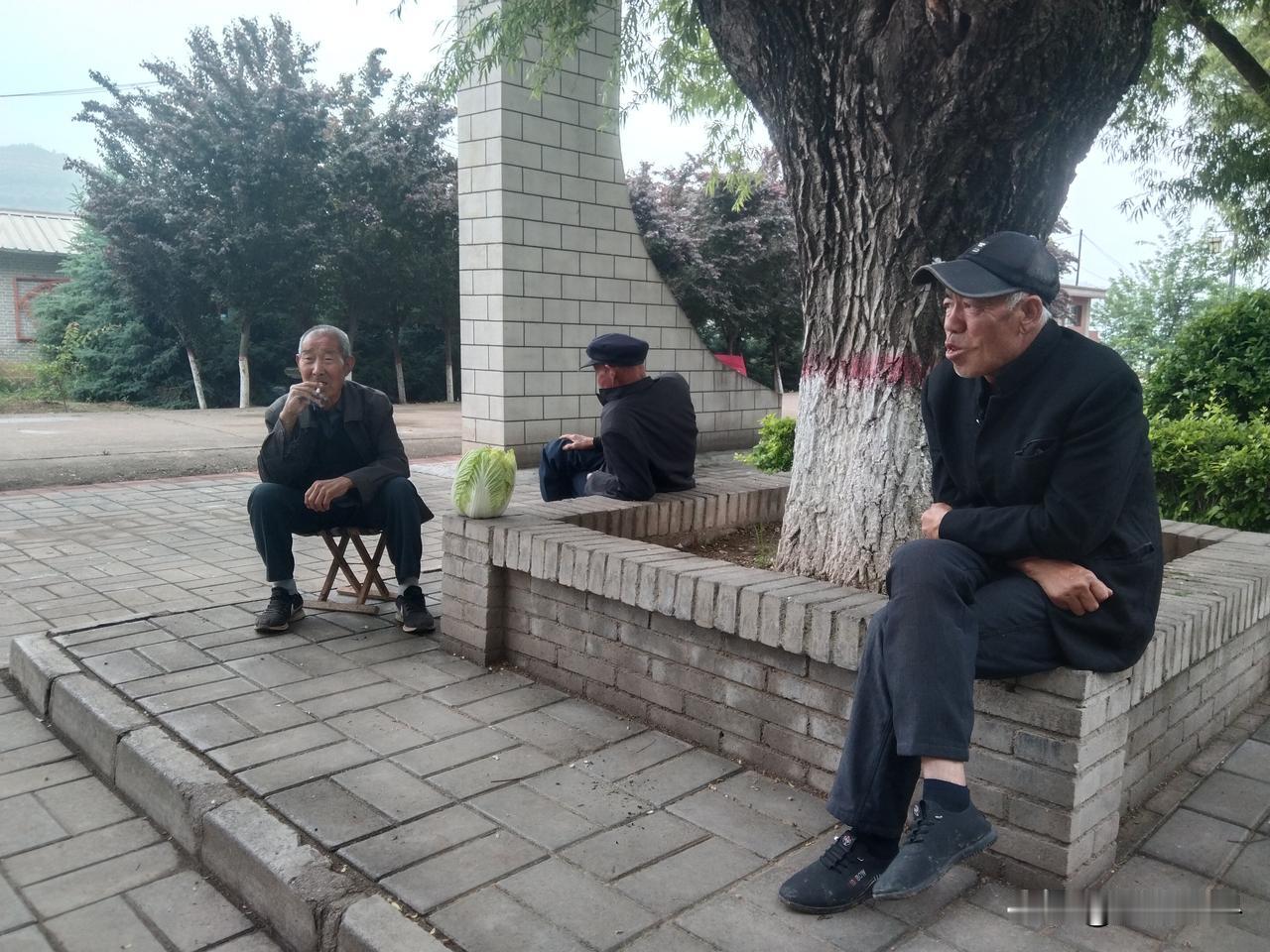 乡亲们很悠闲
这也是别样的幸福