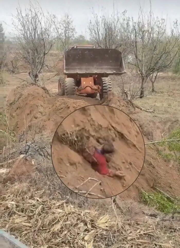 山西代县回应“原村支书开铲车埋村民”：已刑拘，涉土地纠纷