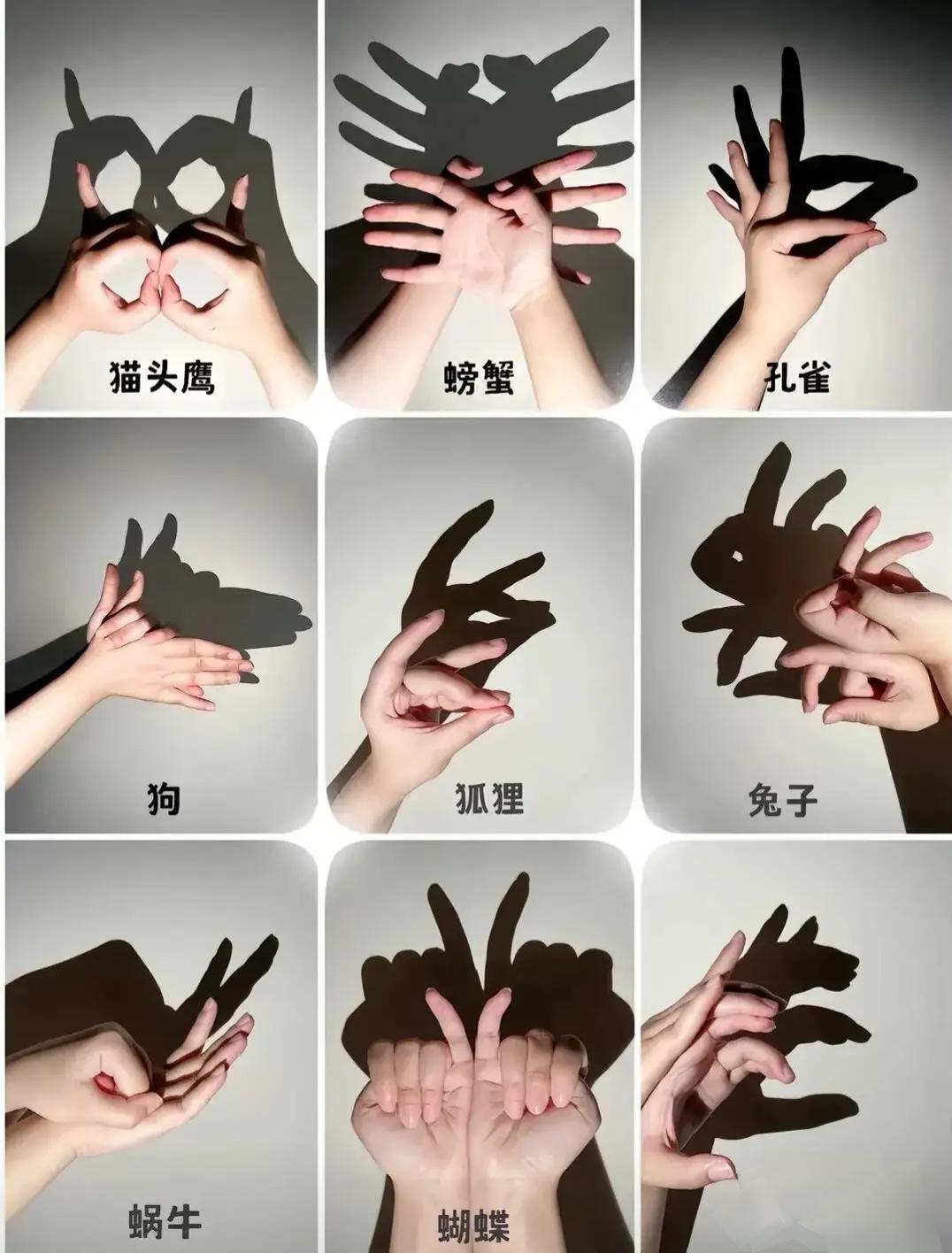 小时候玩的手影，请问最后一个是什么？
