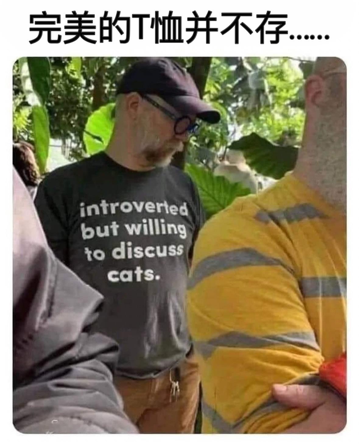 猫猫好！#meme# ​​​