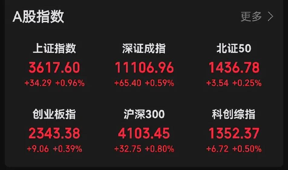 相信相信的力量。
各大指数北证依旧是最弱的存在，好在持有的三只均红盘报收。市场一