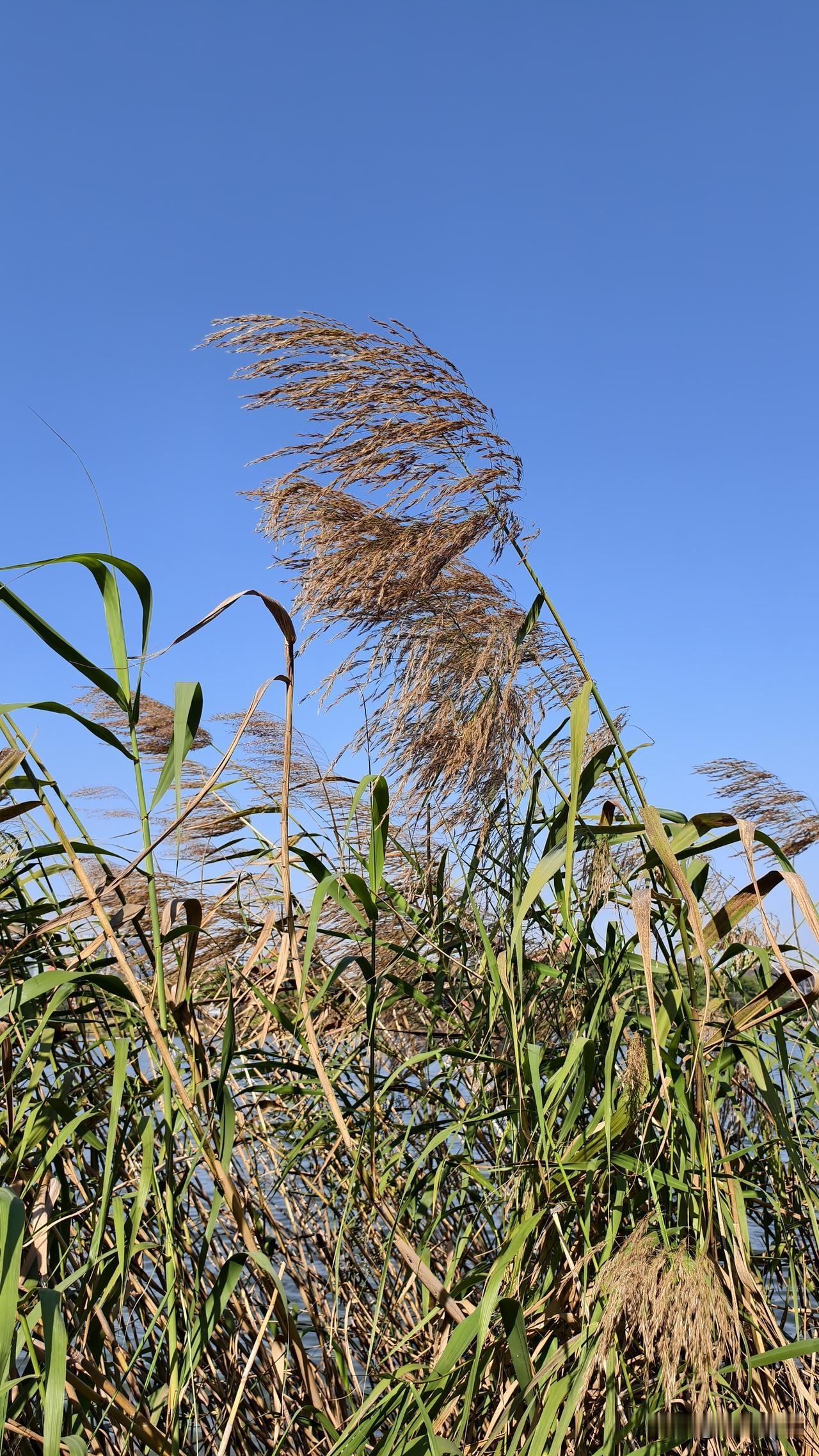 性学专家李银河曾说："人到六十，日子就不多了，不出意外，大概还能过二十来个春节，