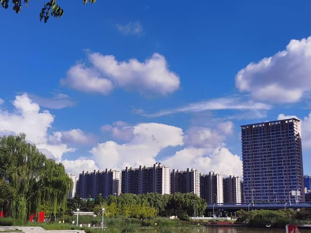 我家车位上时常能看到宠物狗排泄的粪便，我去找物业公司经理反映沟通，她的回应简直刷