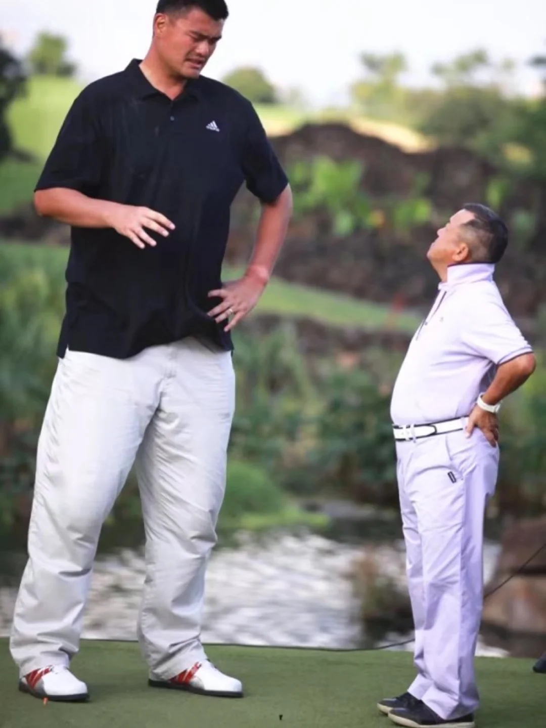 高个与矮个