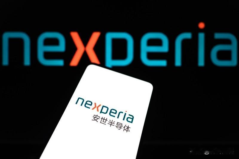 安世半导体分波被网上戏称“安世之乱”，以和唐朝“安史之乱”对举。这件事因荷兰侵吞