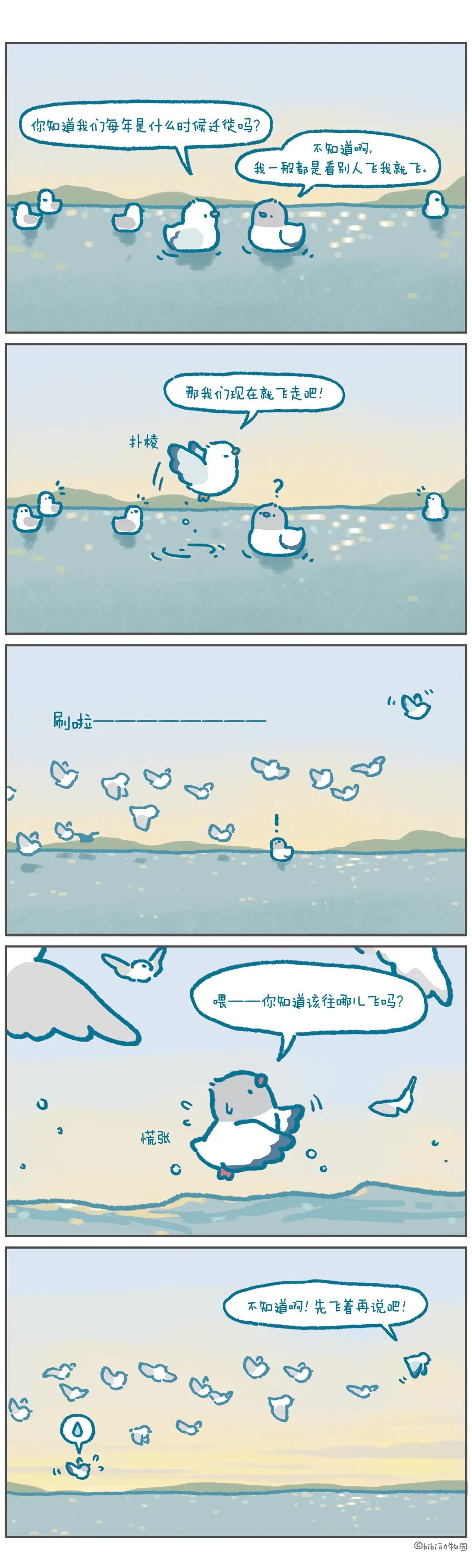 我一般只看别人！