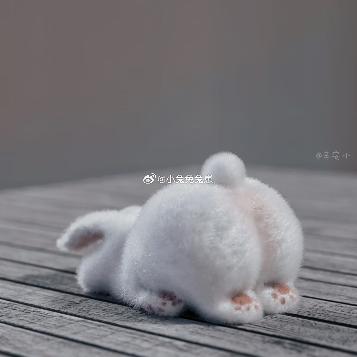 🐺把🍑打红红之后就一直舍不得再打，就开始摸鱼轻轻拍拍🐺：趴过来跪下，把你?
